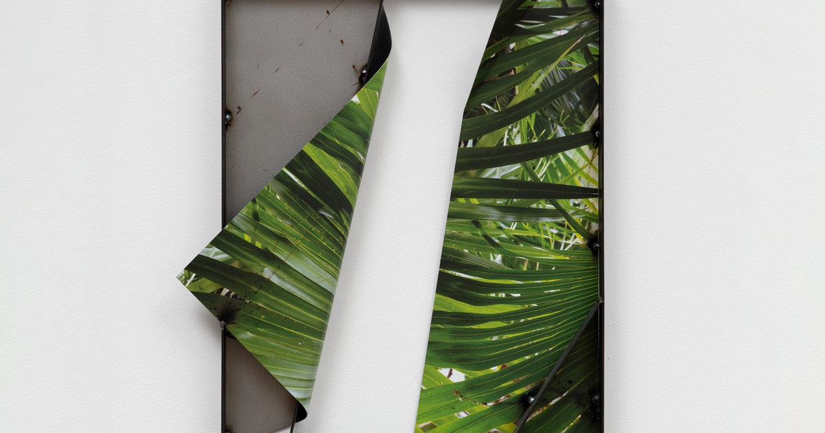 Palms Turn Back Steel
